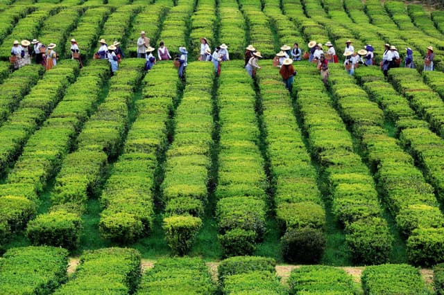 Azori – A(tra)ktivni Sao Miguel