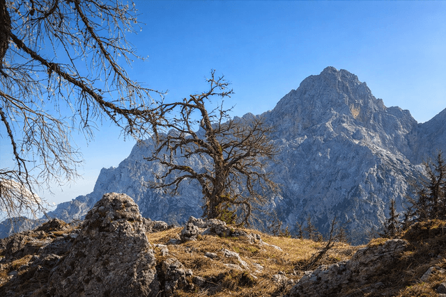 Rutarski Vršič, 1699m